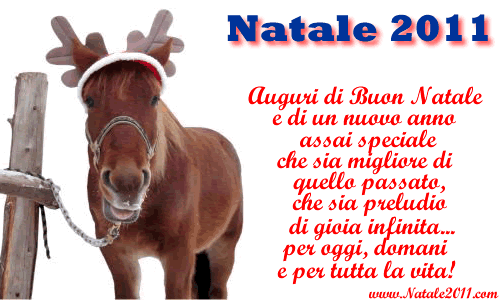 NATALE 2011